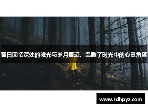 昔日回忆深处的微光与岁月痕迹，温暖了时光中的心灵角落